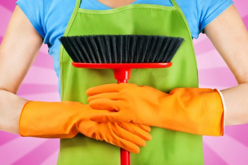 Domestic cleaning in a family house near Tooting and Earlsfield