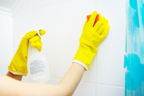 Mattress hygiene cleaning in a South London flat