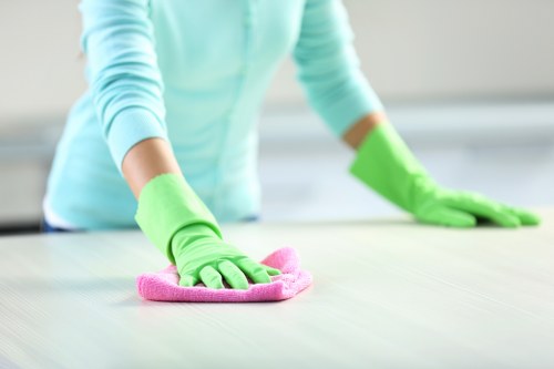 Local cleaner working in a SW17 residential property
