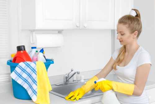 Pet stain and odour removal for upholstery and soft furnishings